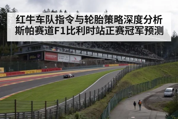 红牛车队指令与轮胎策略深度分析斯帕赛道F1比利时站正赛冠军预测
